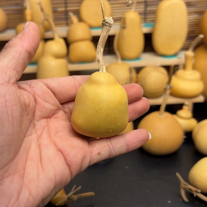 夏*葫芦葫芦葫芦葫芦葫芦葫芦