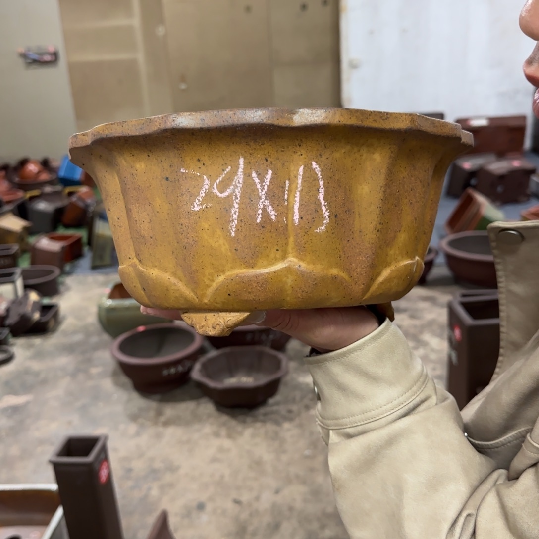 紫砂花盆呜呜呜呜