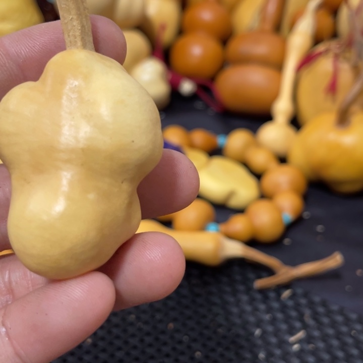 4***7葫芦葫哈哈哈哈哈哈哈哈