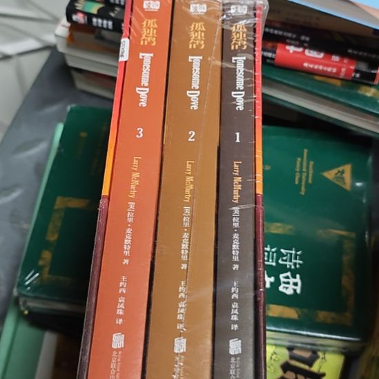 孤独鸽库存书壳子微瑕介意