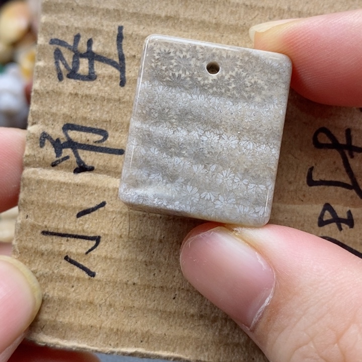 硅化珊瑚（珊瑚玉）颈饰未镶嵌人**年