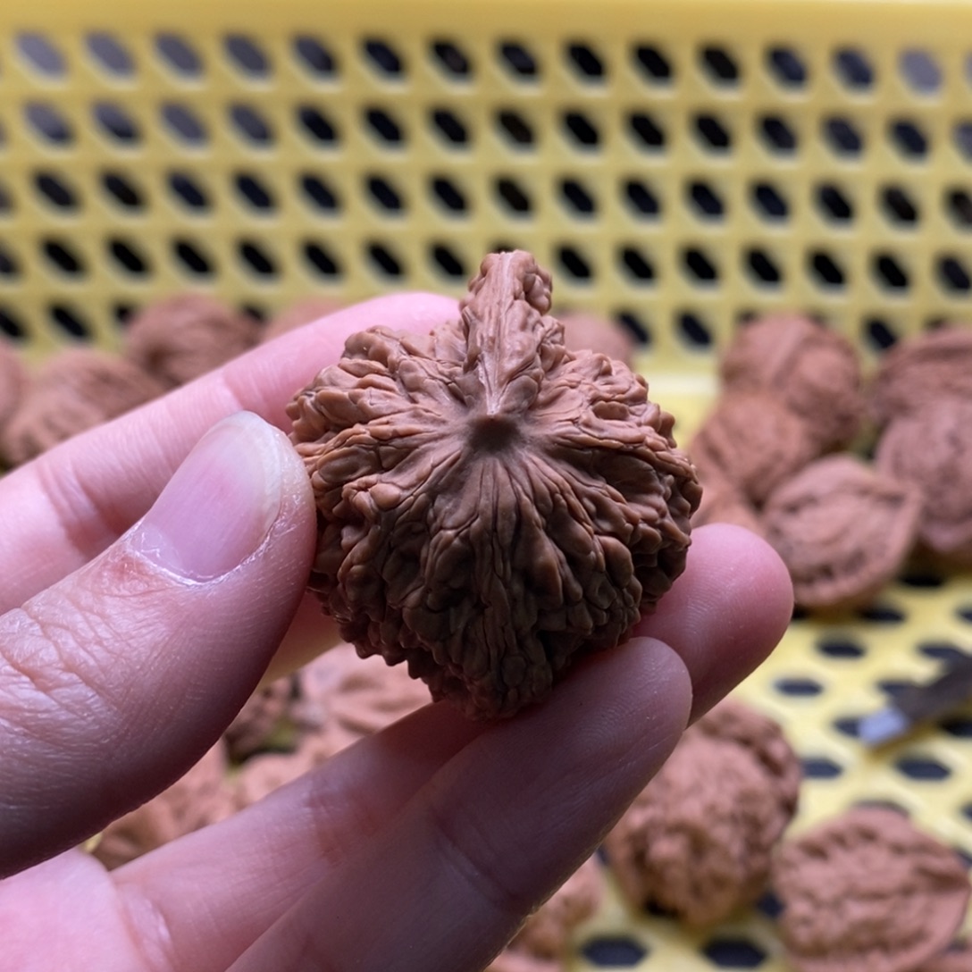 保***馆核桃定制商品不退不换