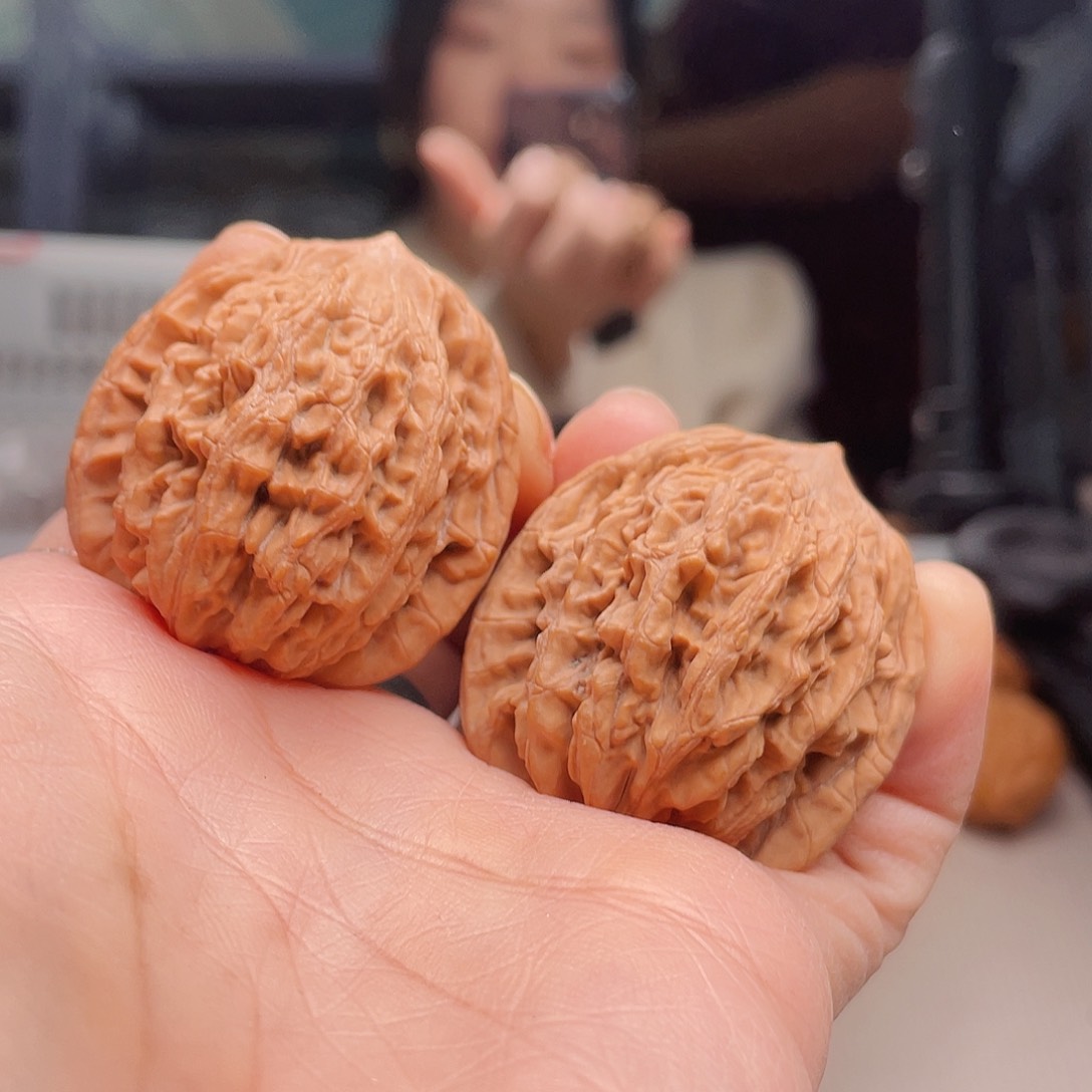 堂上虎踞在你9.9