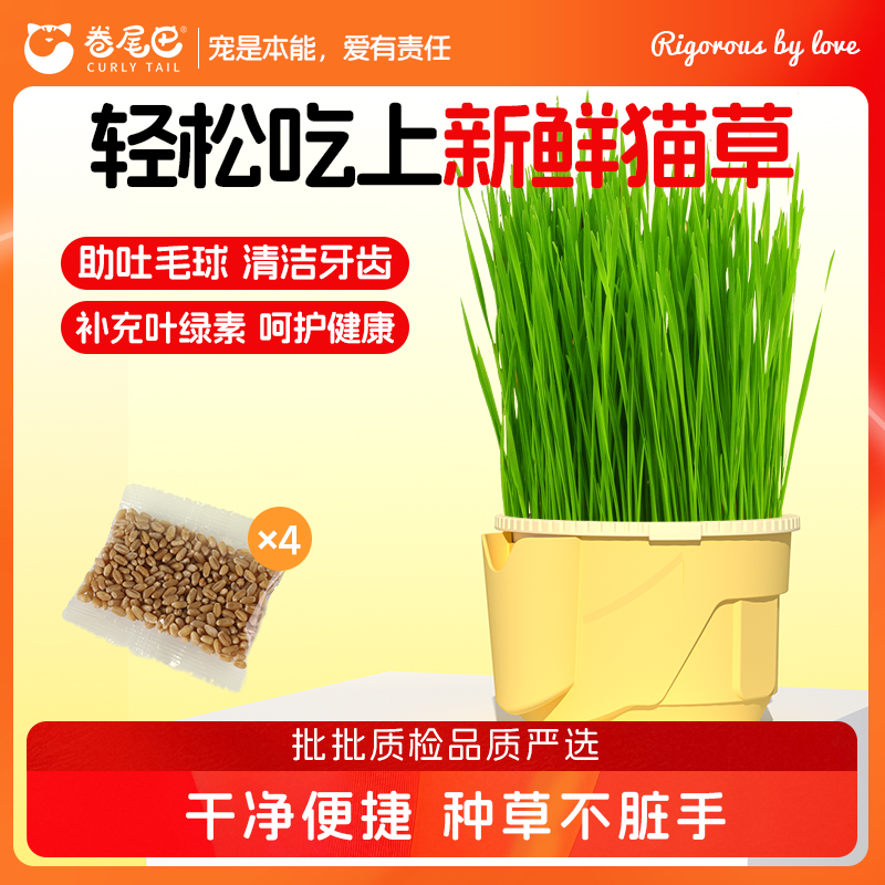 卷尾巴猫草杯化毛排毛懒人水培盆栽成猫幼猫新鲜清洁健康主粮伴侣