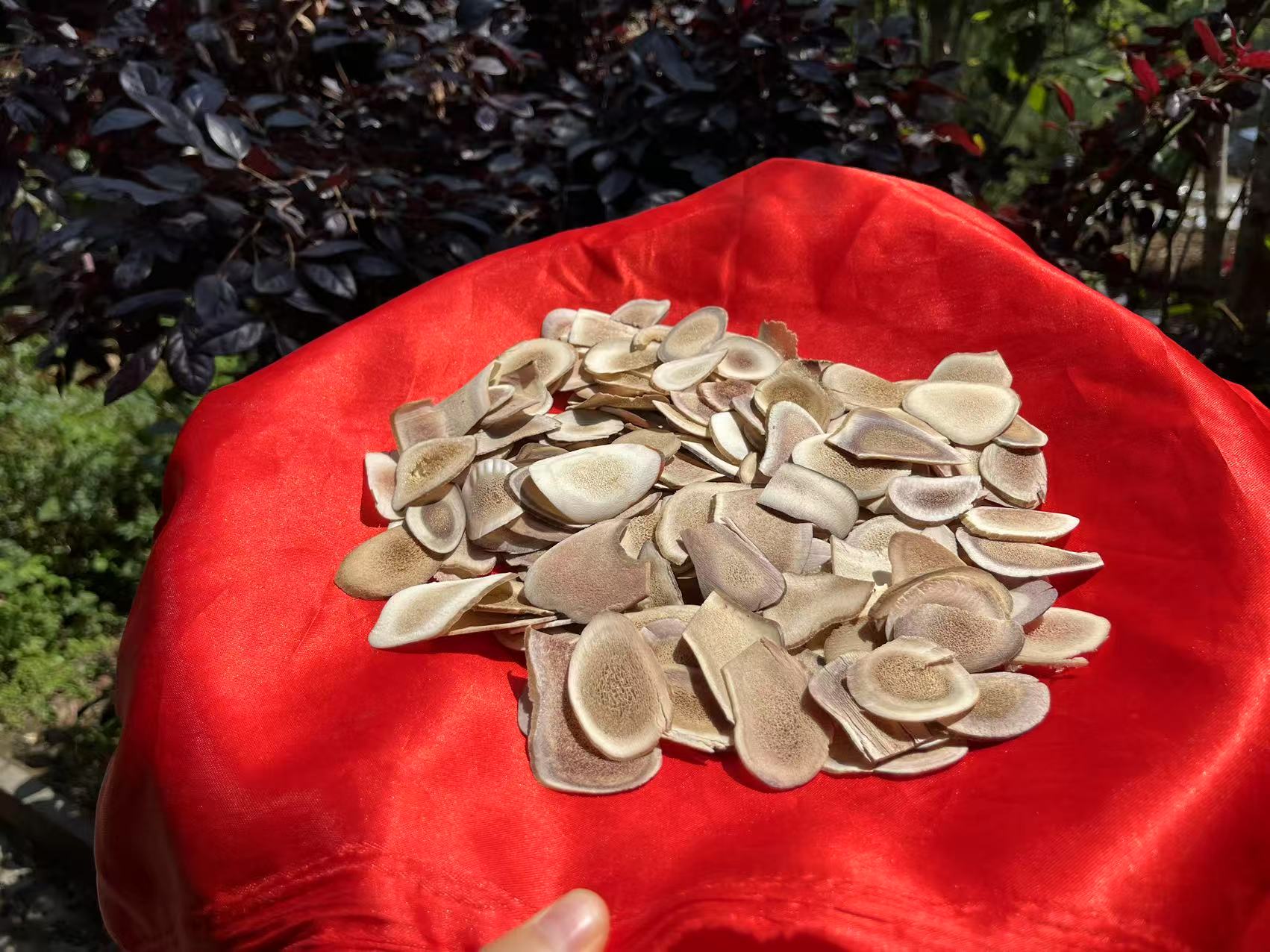 1【鹿-傇-片】净含量：250g-1000g【阿徐现收】