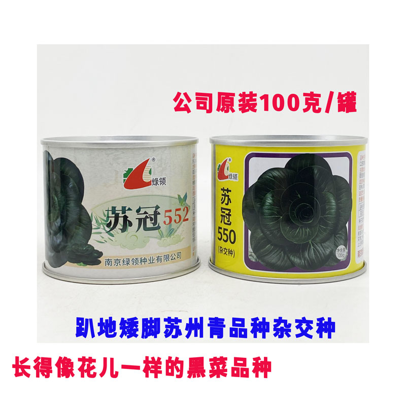 绿领苏冠黑叶矮脚青梗菜种籽高产耐寒黑亮趴地苏州青种子100克