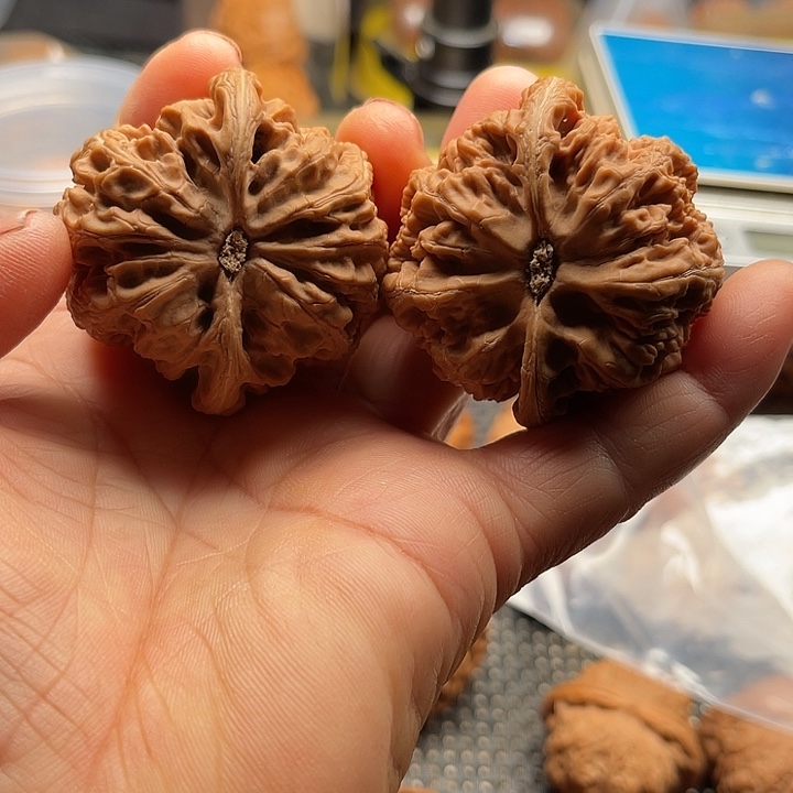 火***晶把件桃核全品球筋边48➕
