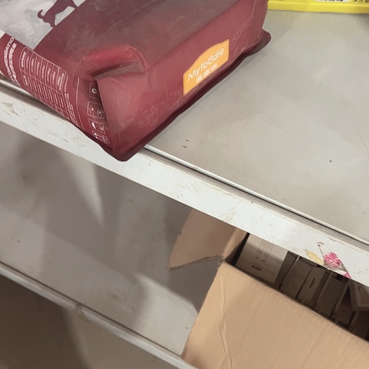 开***贝2025.12.18小熊饼干存单6号