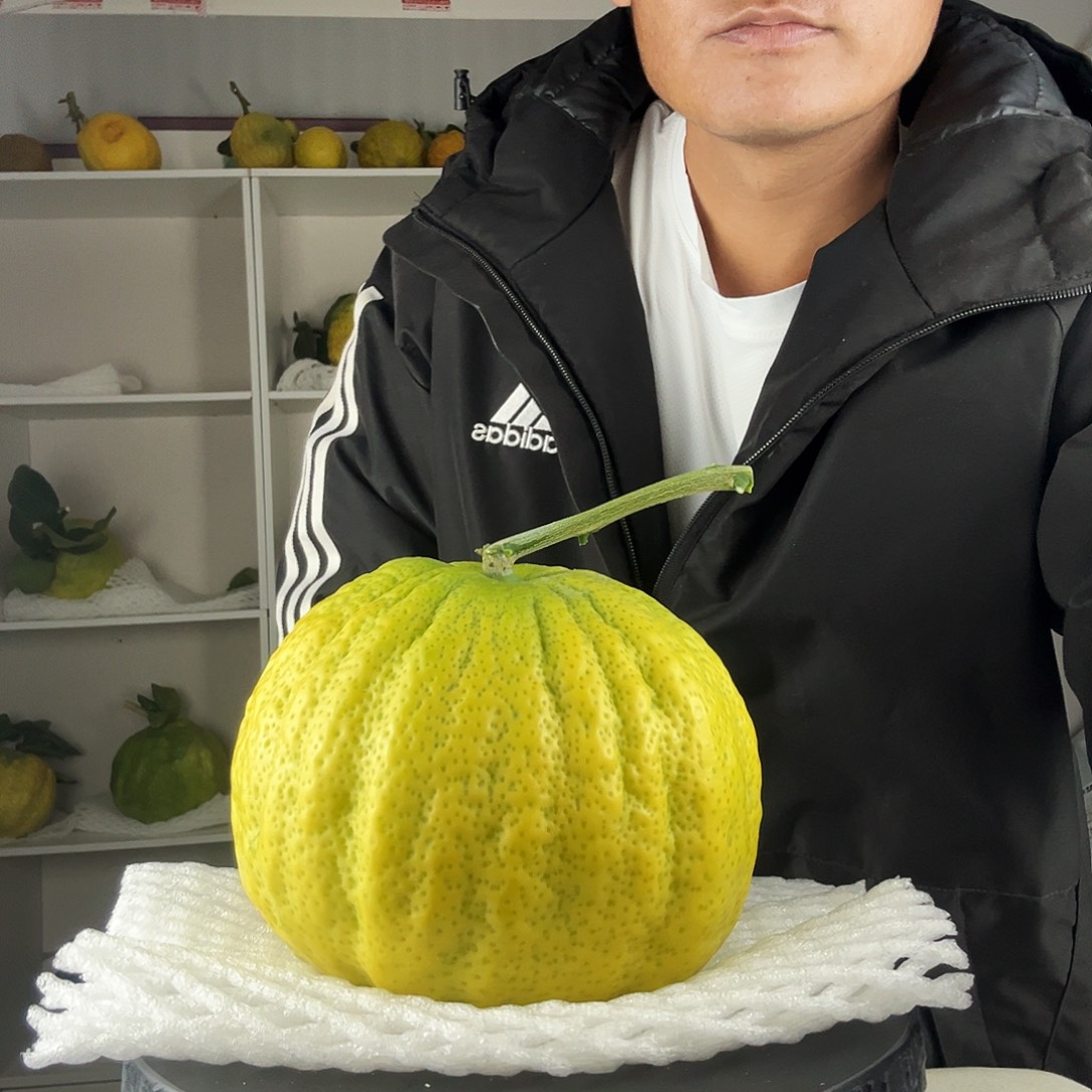 你****香水柠檬云南高山大香橼