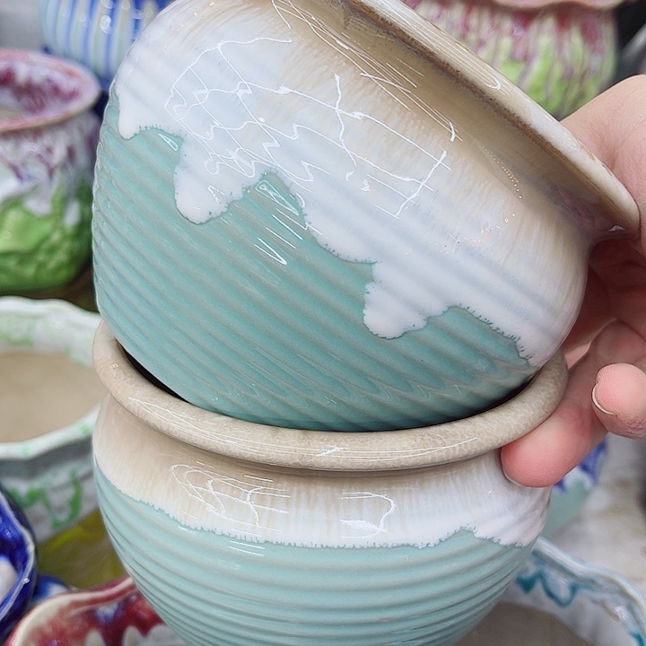 多肉植物陶瓷花盆