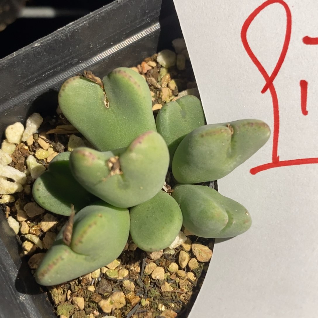 9177一个一个一个