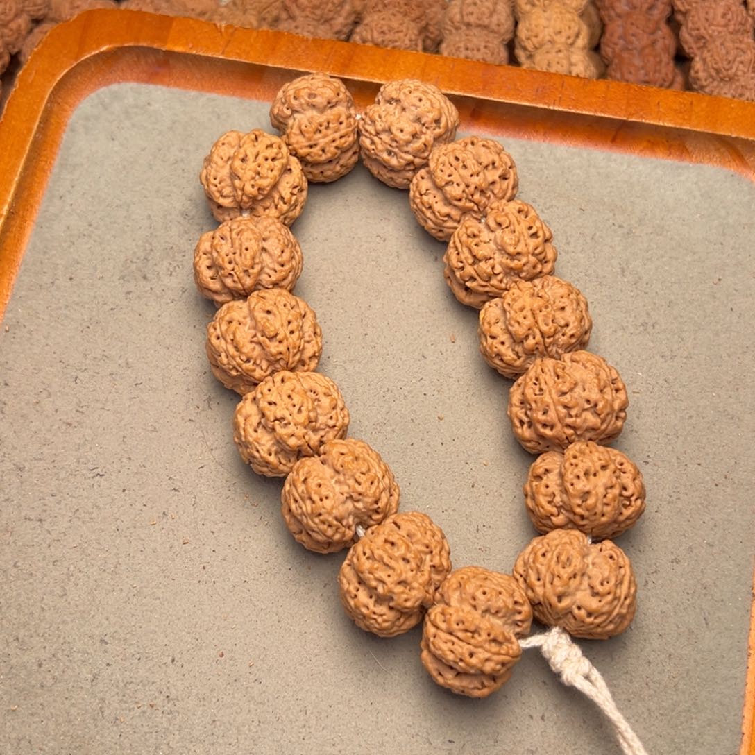 菩提7号金刚菩提梁深沟双龙25