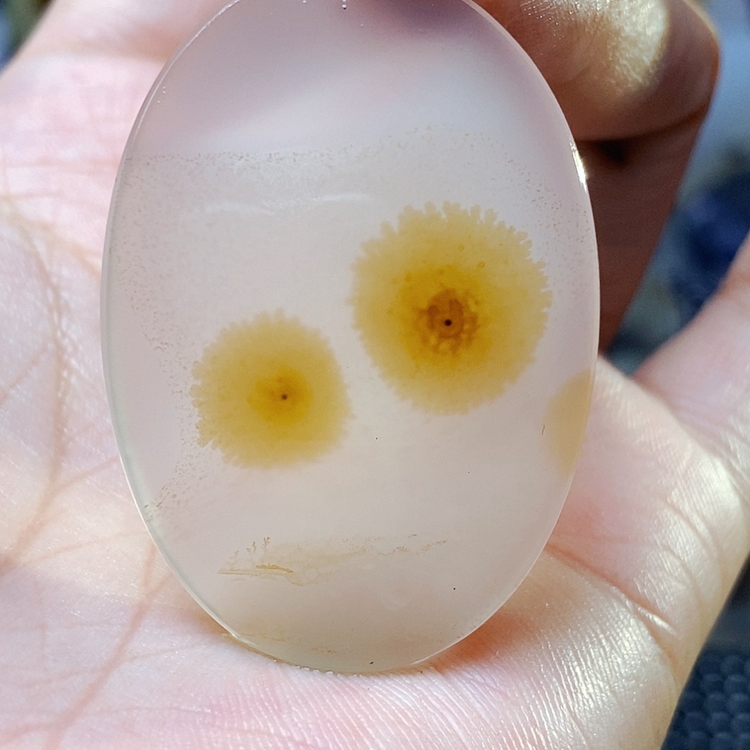 未镶嵌玛瑙/玉髓珠宝半成品