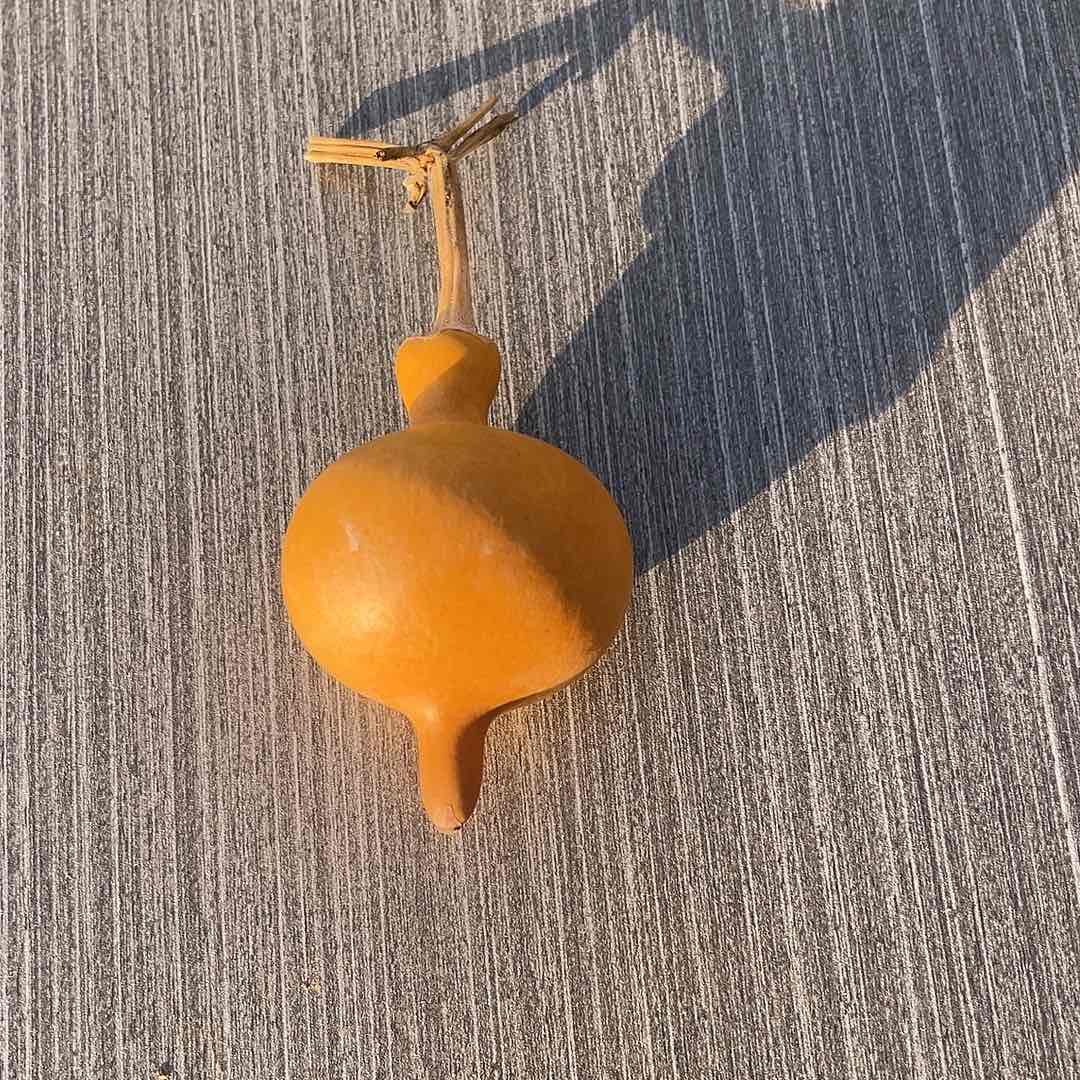 瑞***印鸡血石8888888888