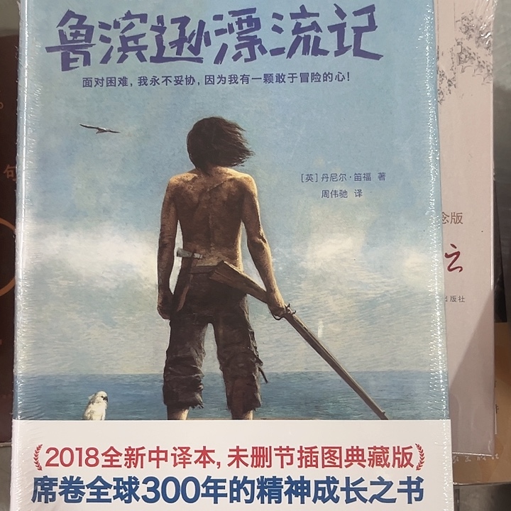 鲁滨逊漂流记全新