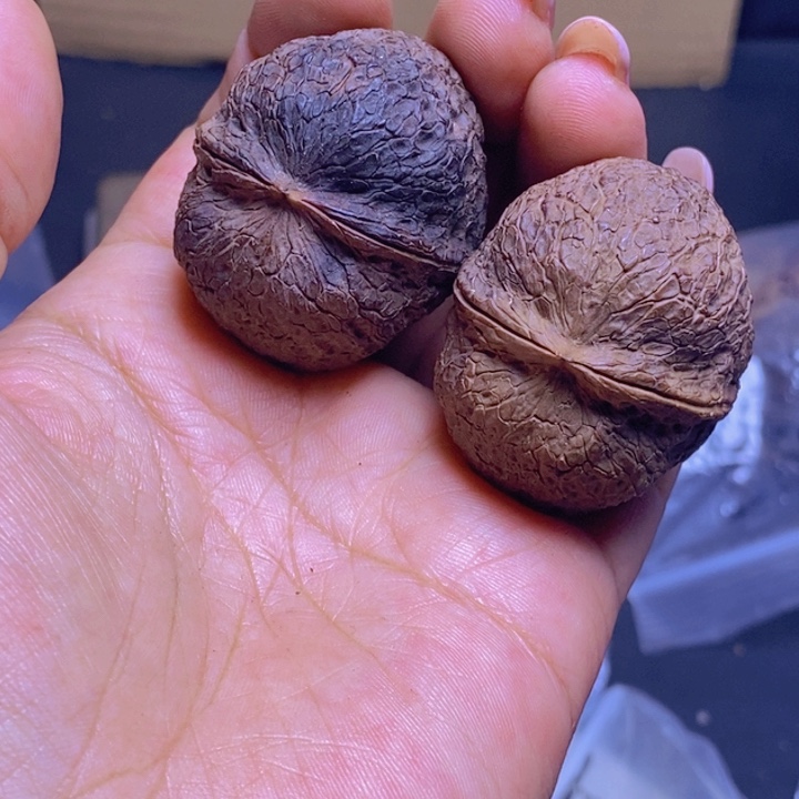 把件文玩核桃50-40mm微磕