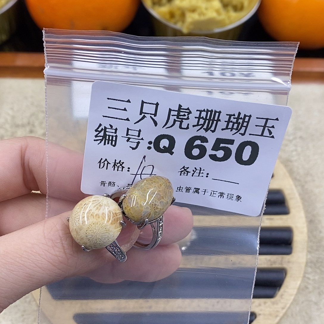 硅化珊瑚（珊瑚玉）1未镶嵌慧****1