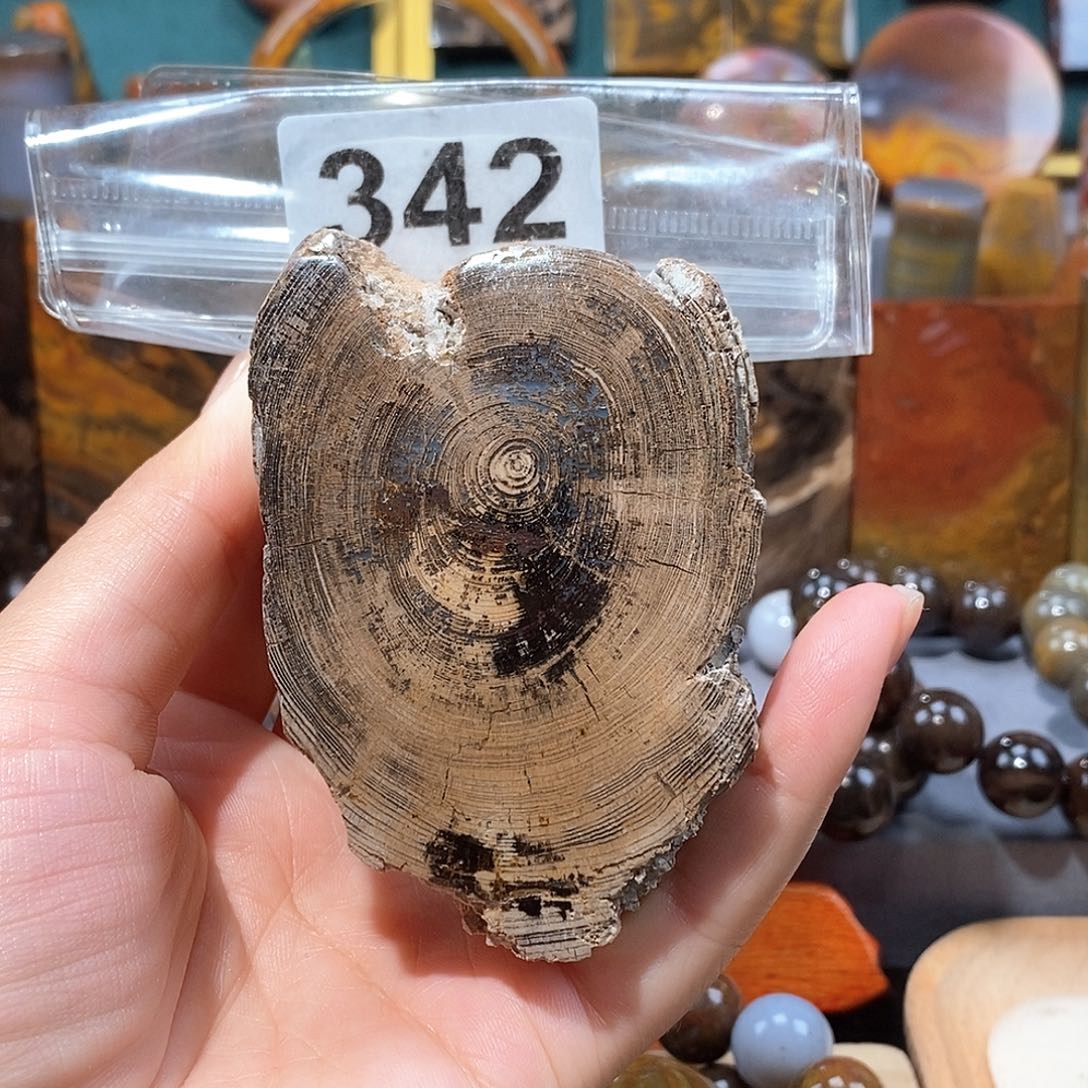 硅化玉天然北票硅化玉原石未镶嵌天然北票硅化玉原石