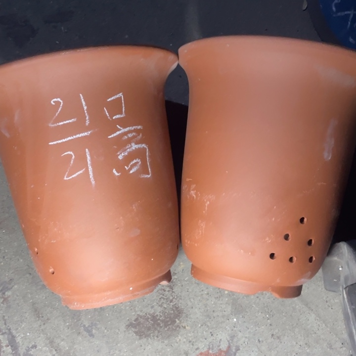 周深周深周深周深周深 