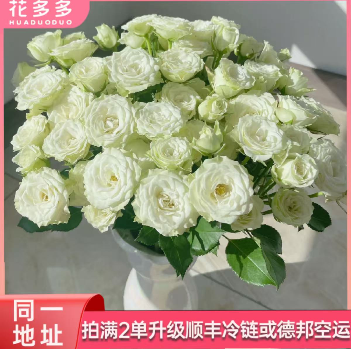 【多头繁星泡泡】全场鲜花任意满两单升级冷链 三单送花瓶