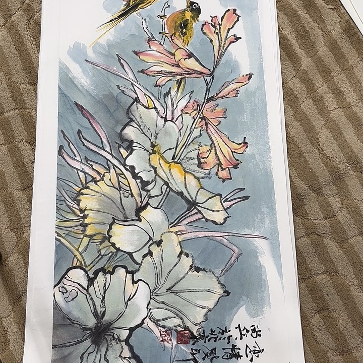 国画花鸟等多种鸟类的栖息地及栖息地