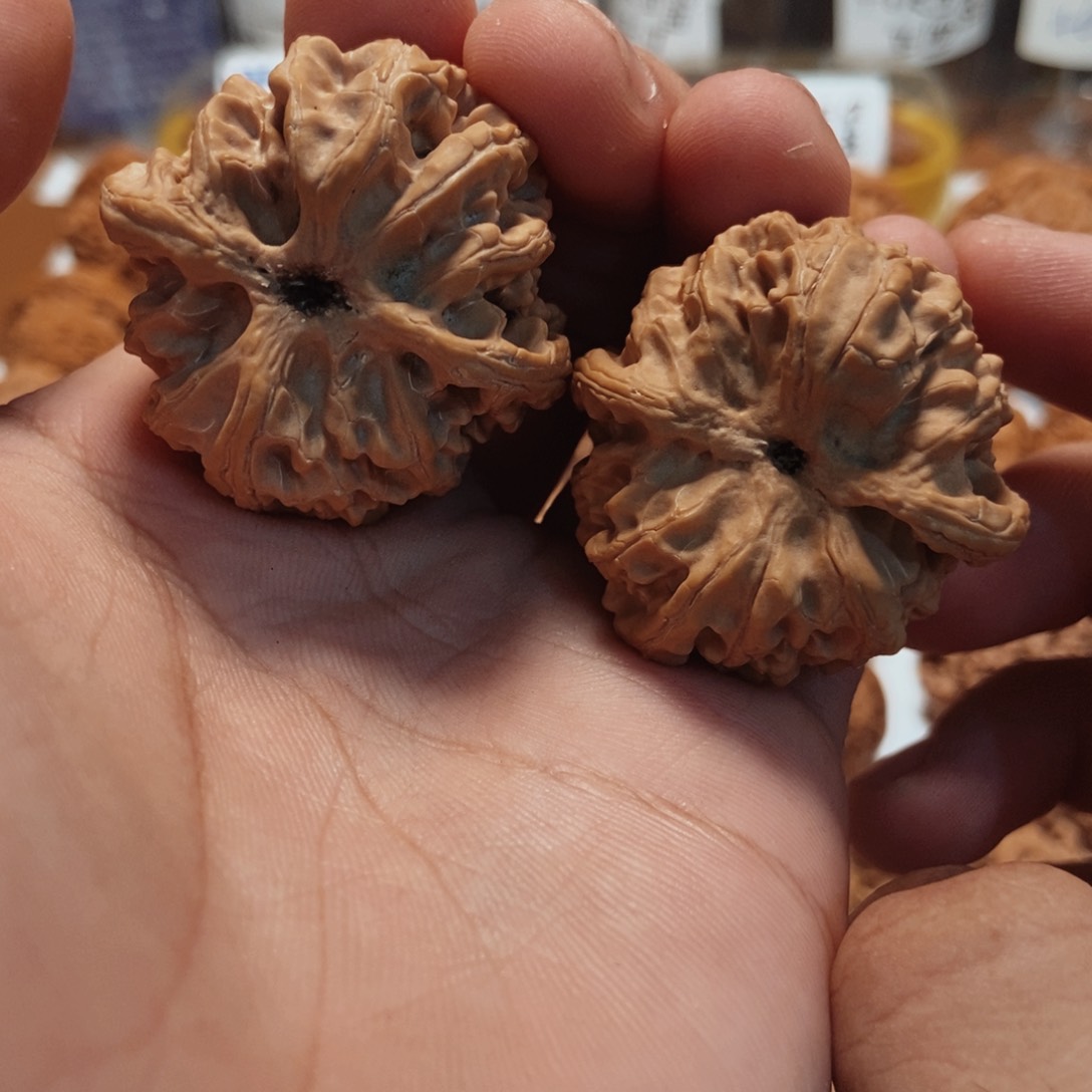 文玩核桃吊坠40全品苹果园。15