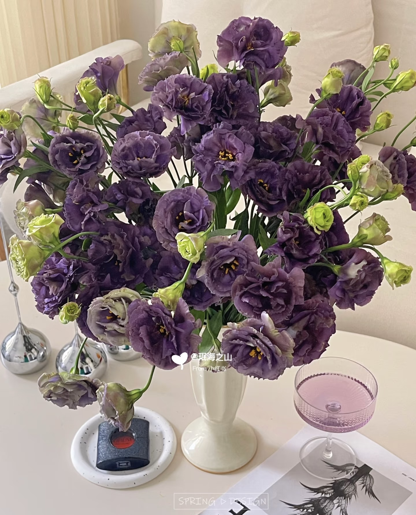 【玖宸花源】洋桔梗基地专场