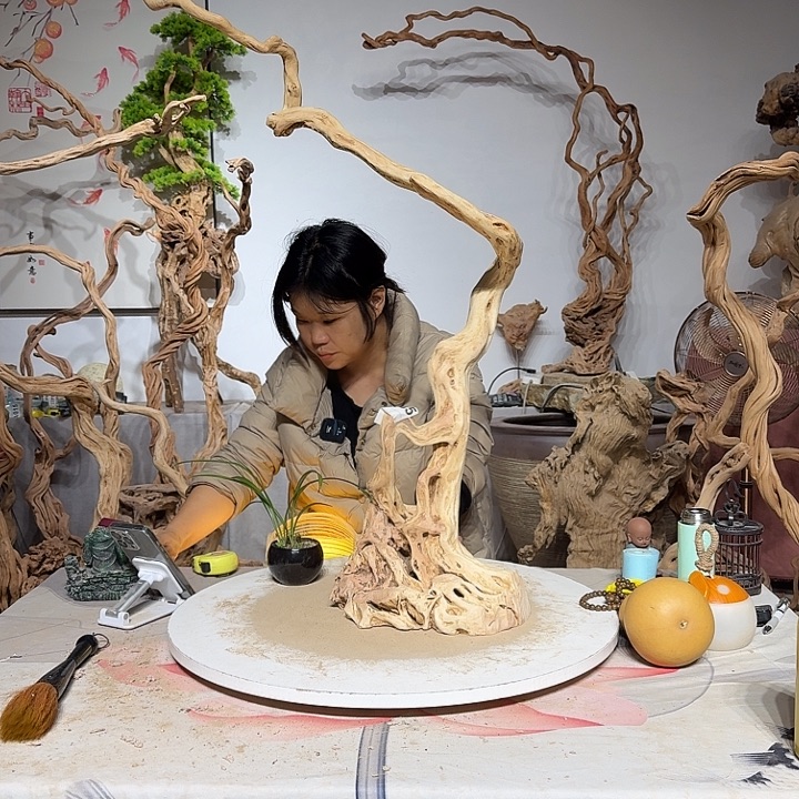 猪***福杜鹃根和杜鹃枝是