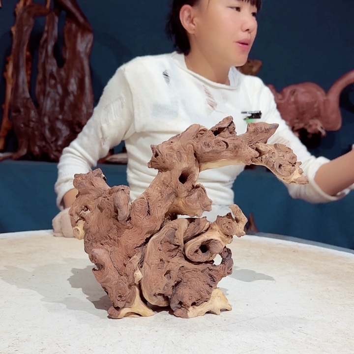 黑果木君****》334金丝红木羊蹄甲