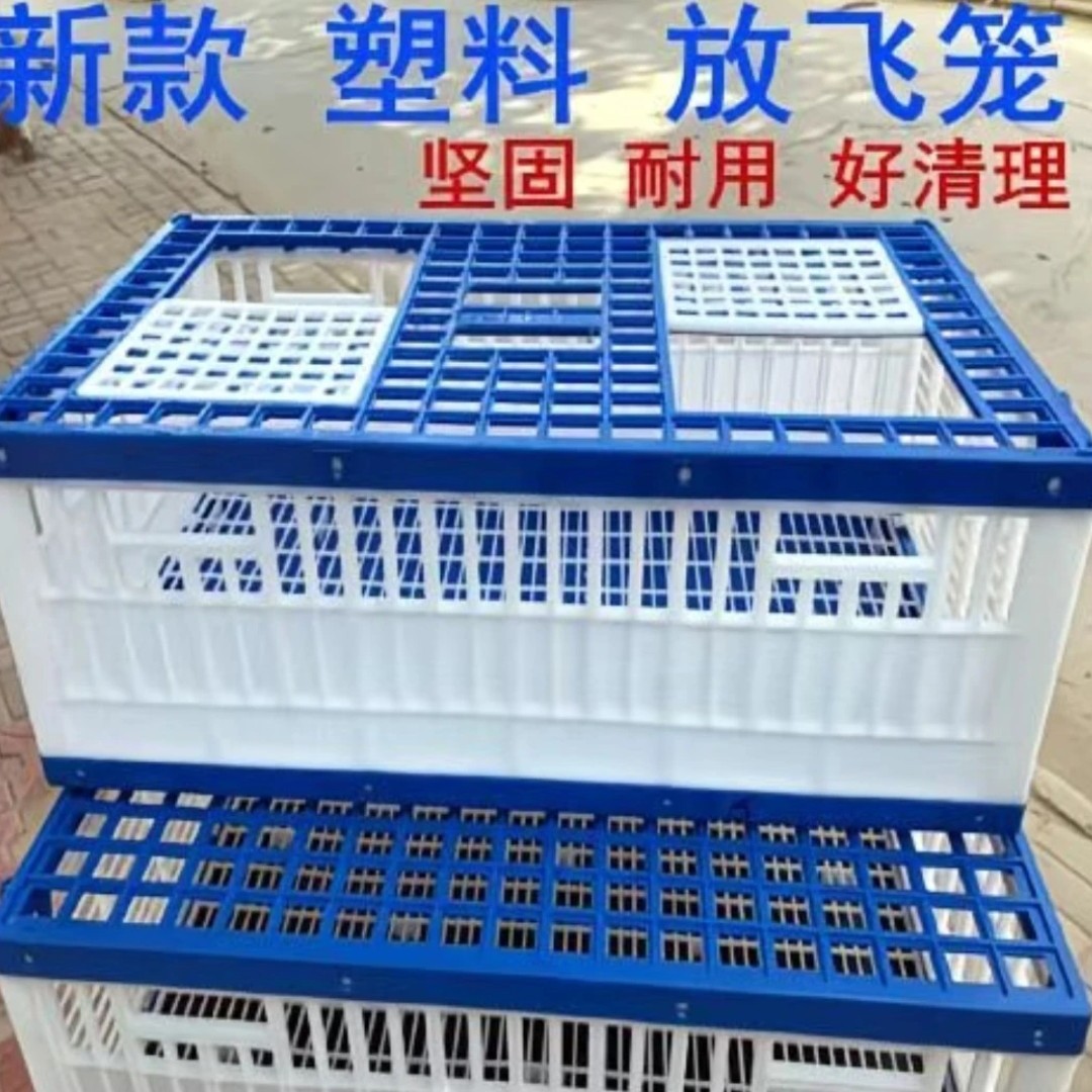 轻便拼装易清理塑料鸽子放飞笼训放笼
