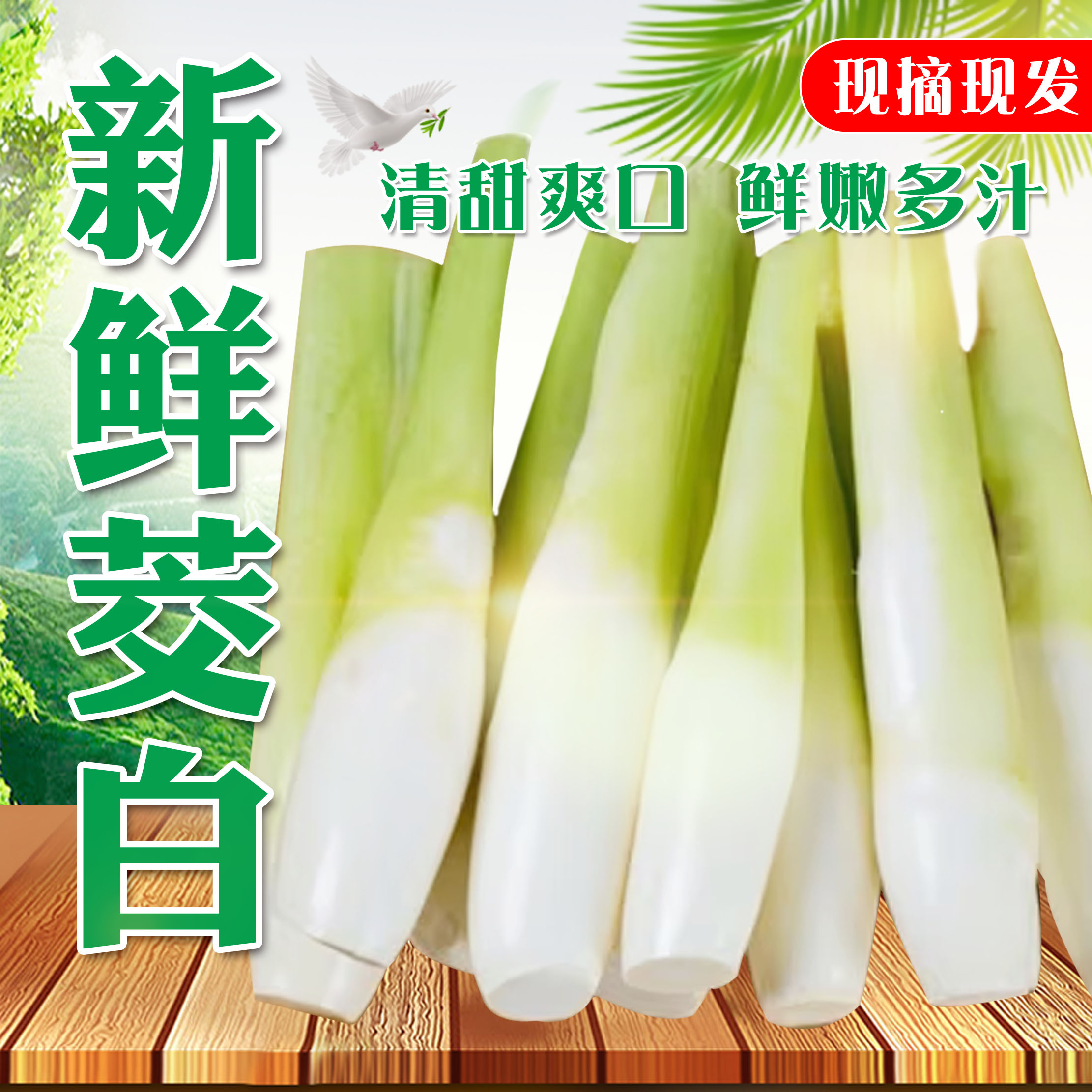 高山茭白冬笋孕妇月子蔬菜鲜嫩蔬菜营养福建高笋水笋现摘带壳发货