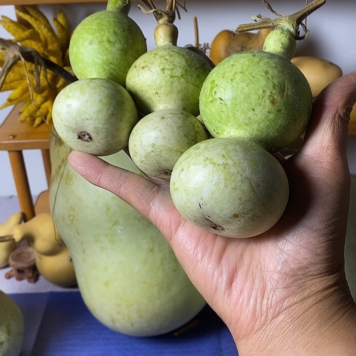 画***圈葫芦手把件摆件葫芦