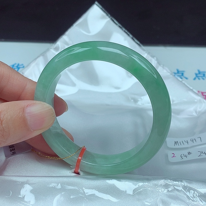 未镶嵌手镯翡翠54圈4917