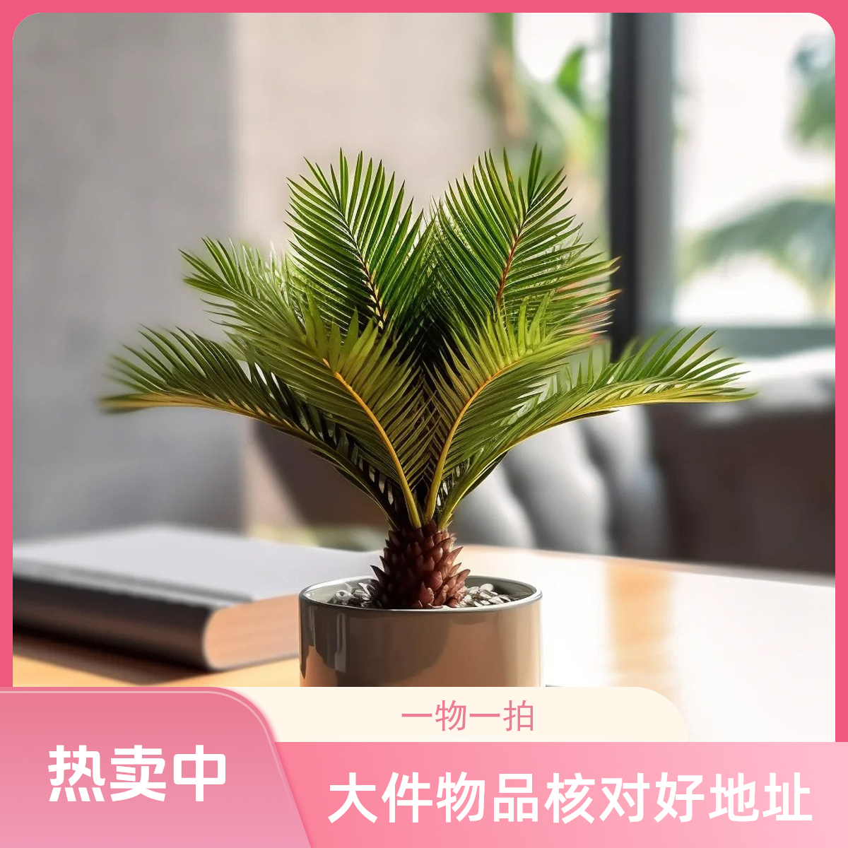 铁树盆栽霸王铁树室外大型旺宅绿植盆景四季好养耐寒绿化树苗木
