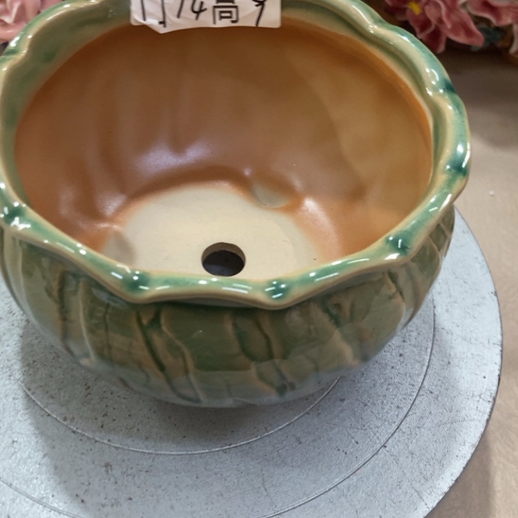 【闪购商品】福利福利福利福利