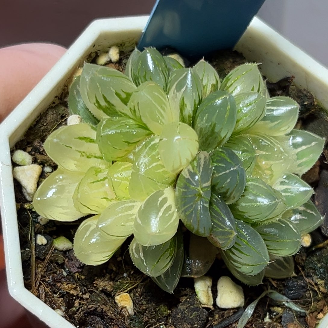 恭喜发财大吉大利969