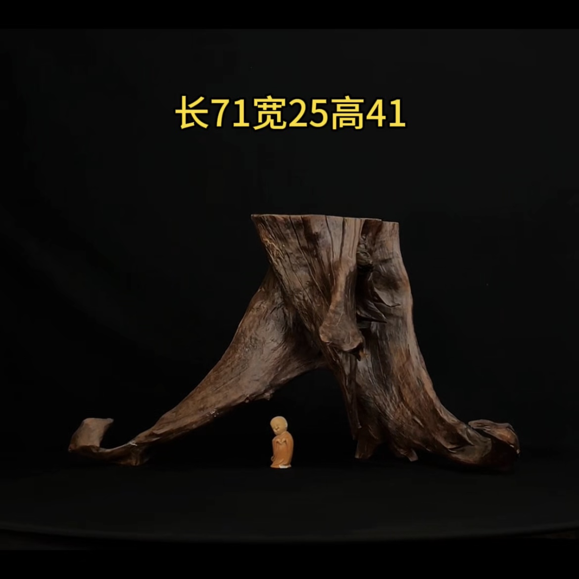 张大狼造景沉木长71cm树桩多枝带平台 龟台鱼缸造景 紫柚木秒沉