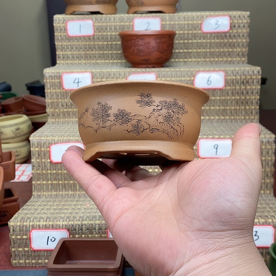 紫砂花盆我在等一