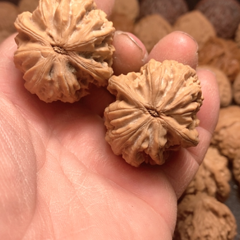 【闪购商品】沽**卿鸡心