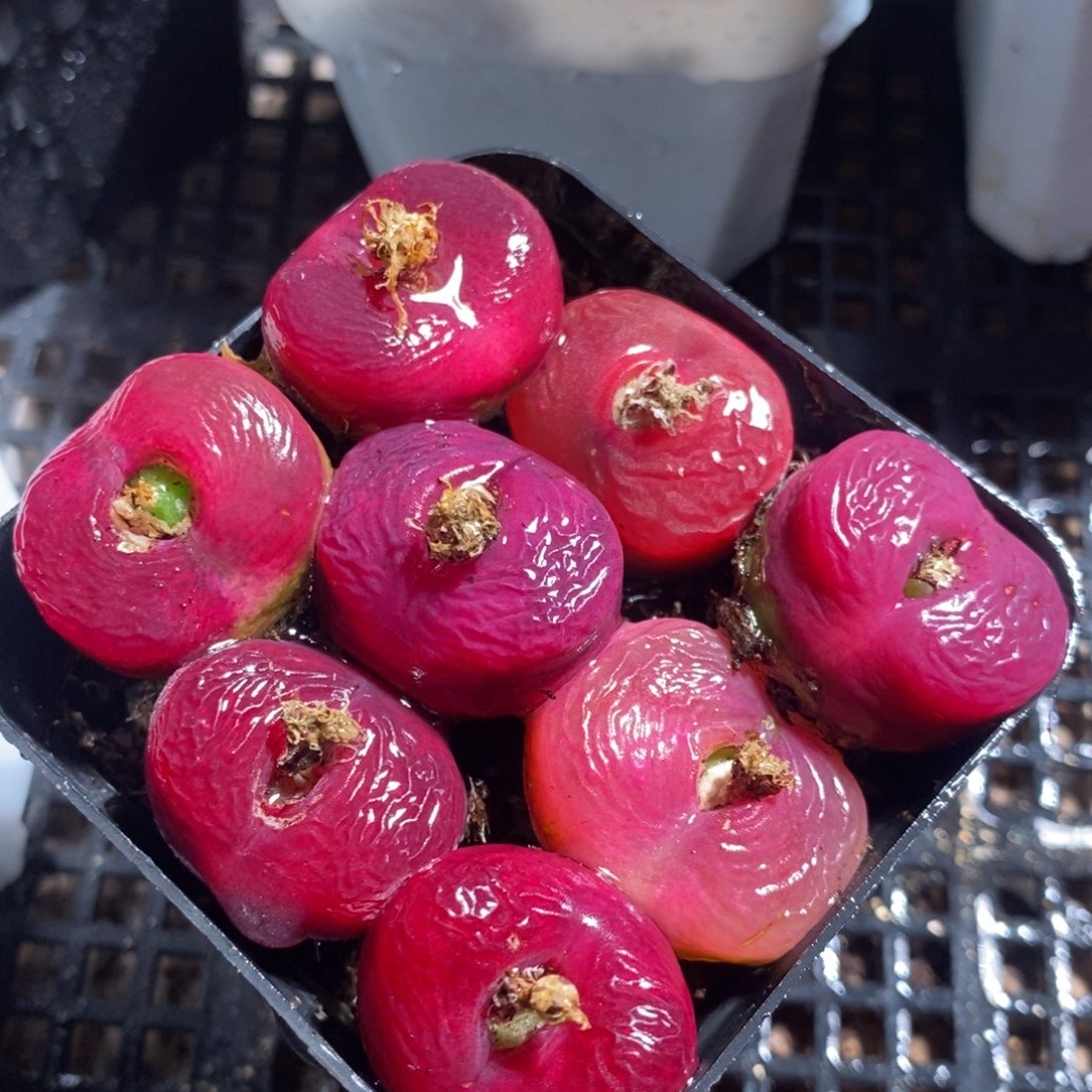 9146一组一组一组