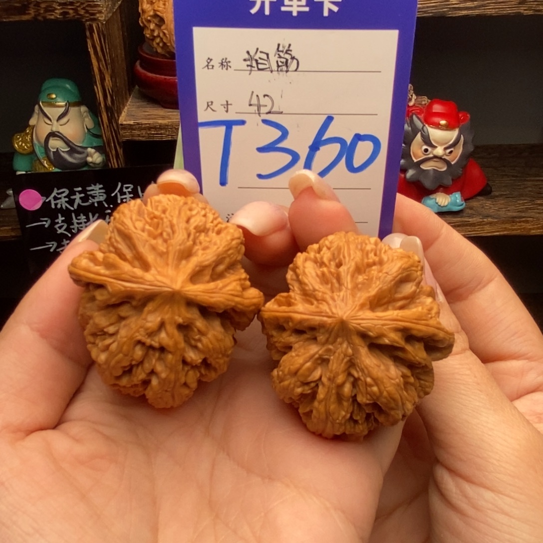 文玩核桃吊坠42大粗筋