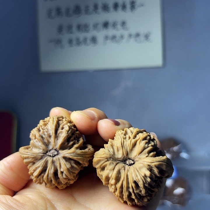 有***盔南疆石石狮子头一对