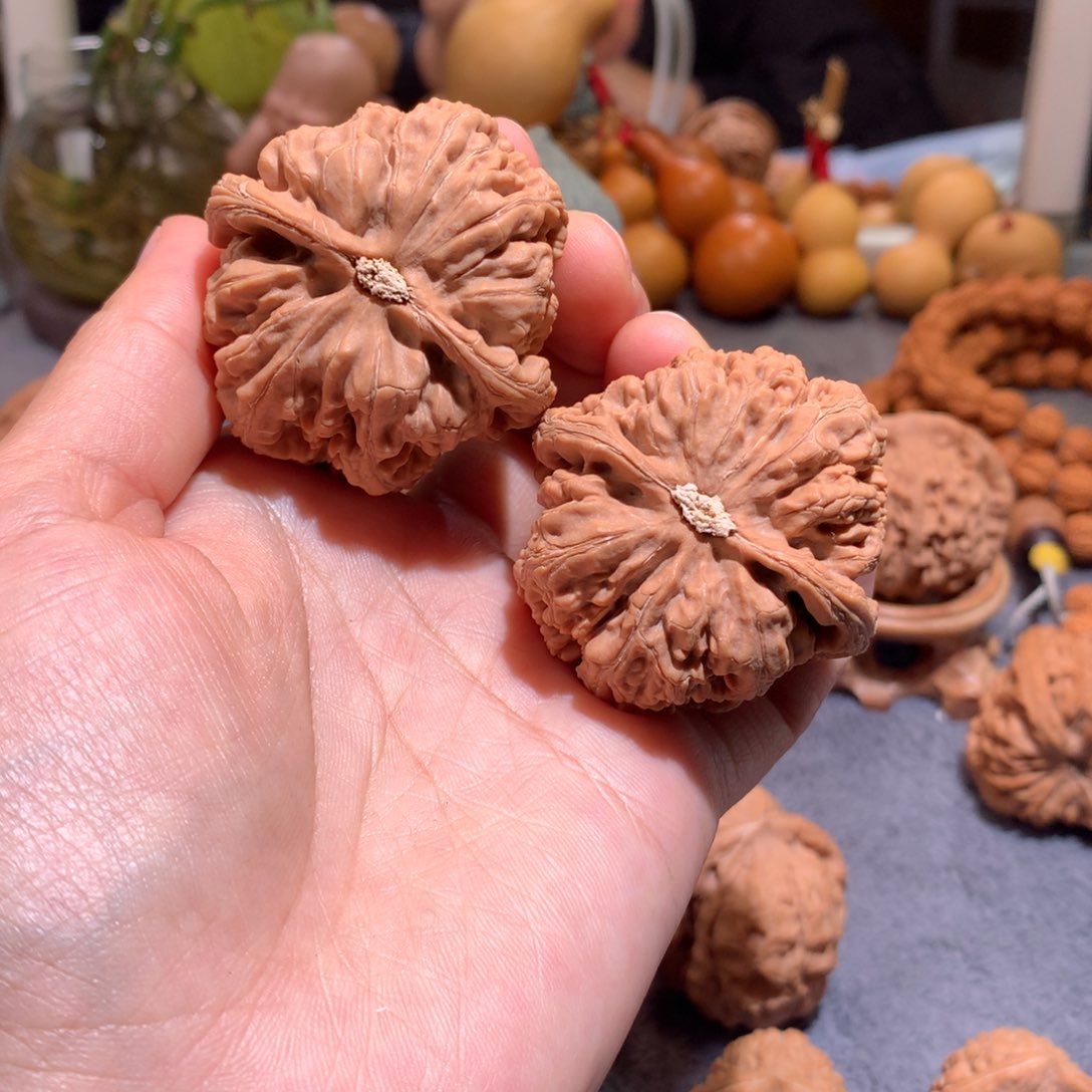 文玩核桃把件扶****）粗筋