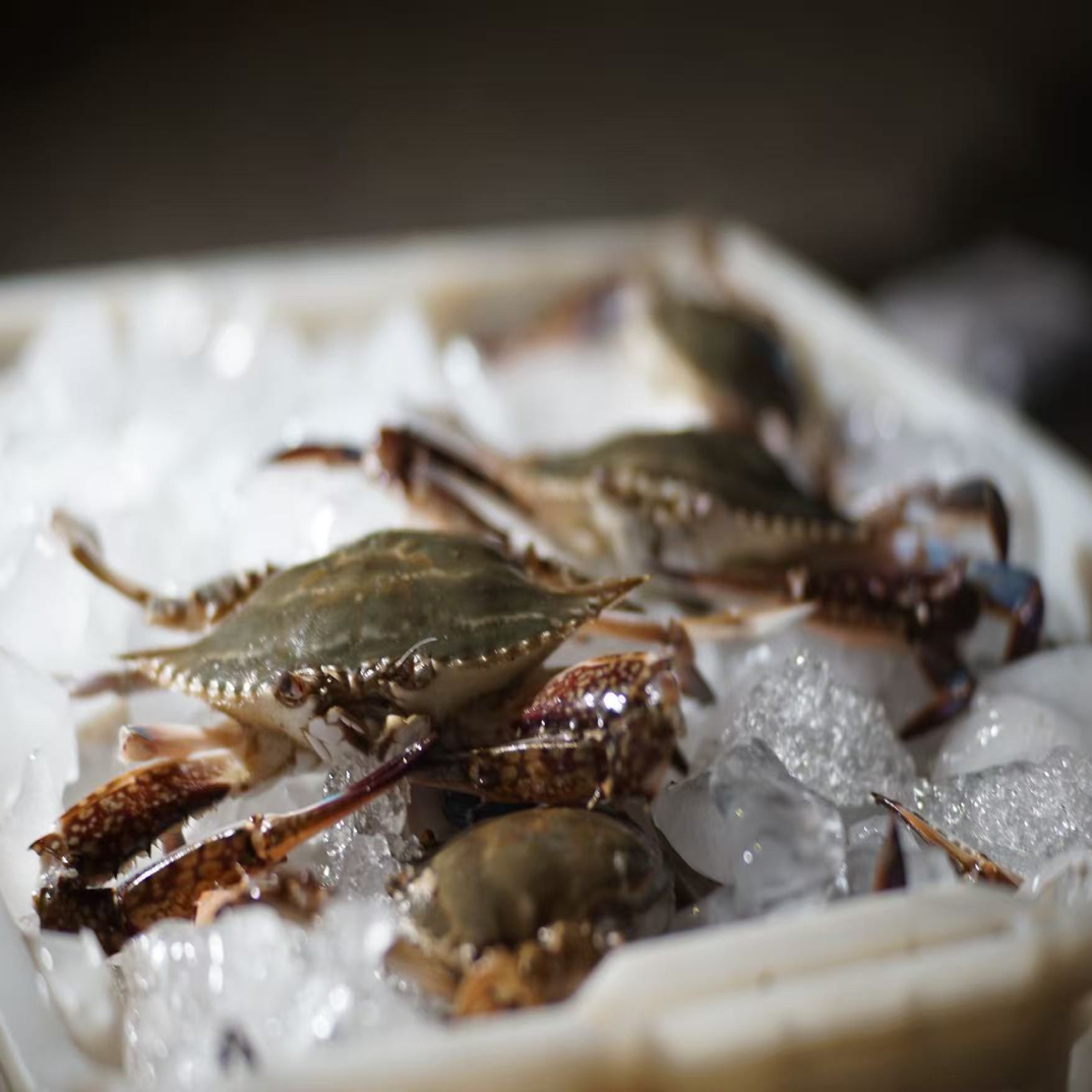 如东洋口港海鲜炒蟹