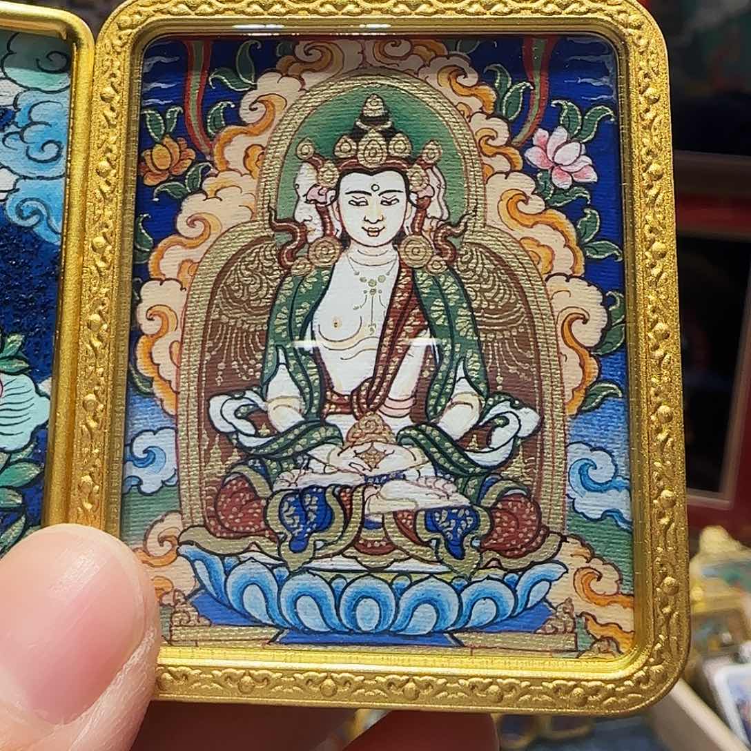 装裱画橙*舟大日如来带壳子