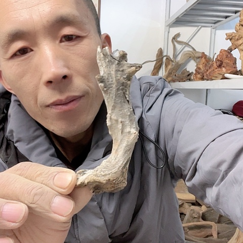 【闪购商品】柏木（崖柏）223