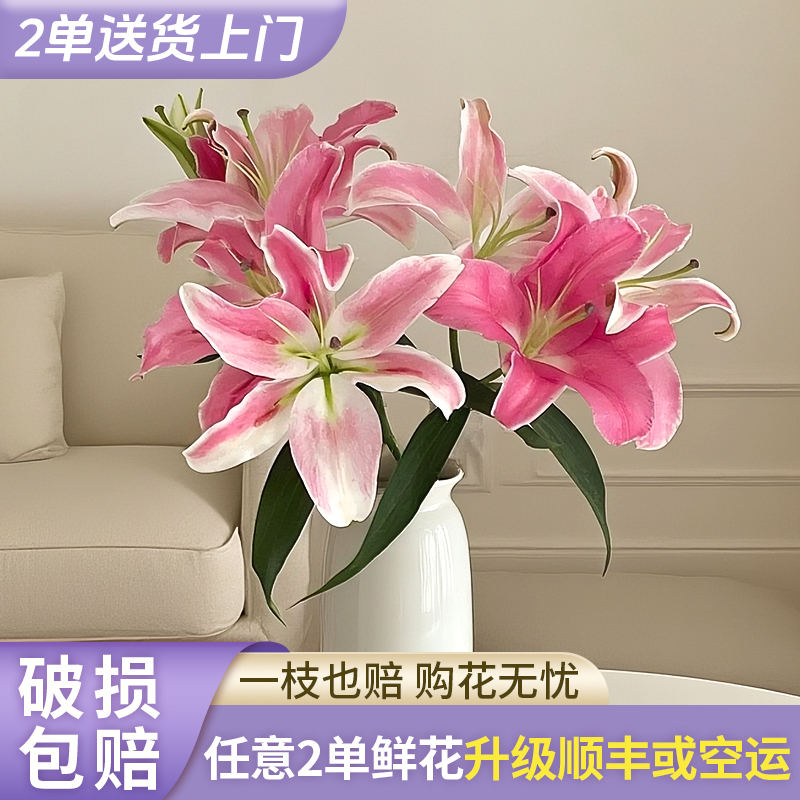 【源头优选】马龙果香水百合花云南直发鲜花家居水养插花鲜切花