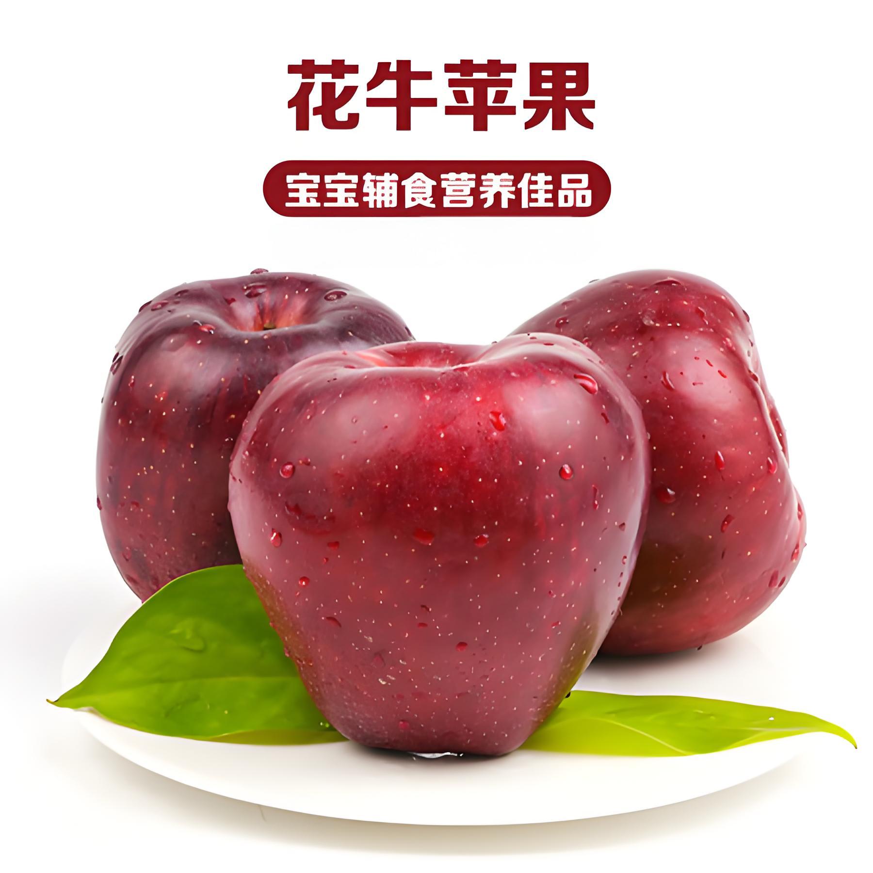 花牛苹果脆甜红蛇果粉面苹果当季水果脆甜多汁