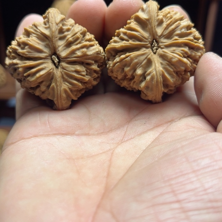 完全开放多****南疆石