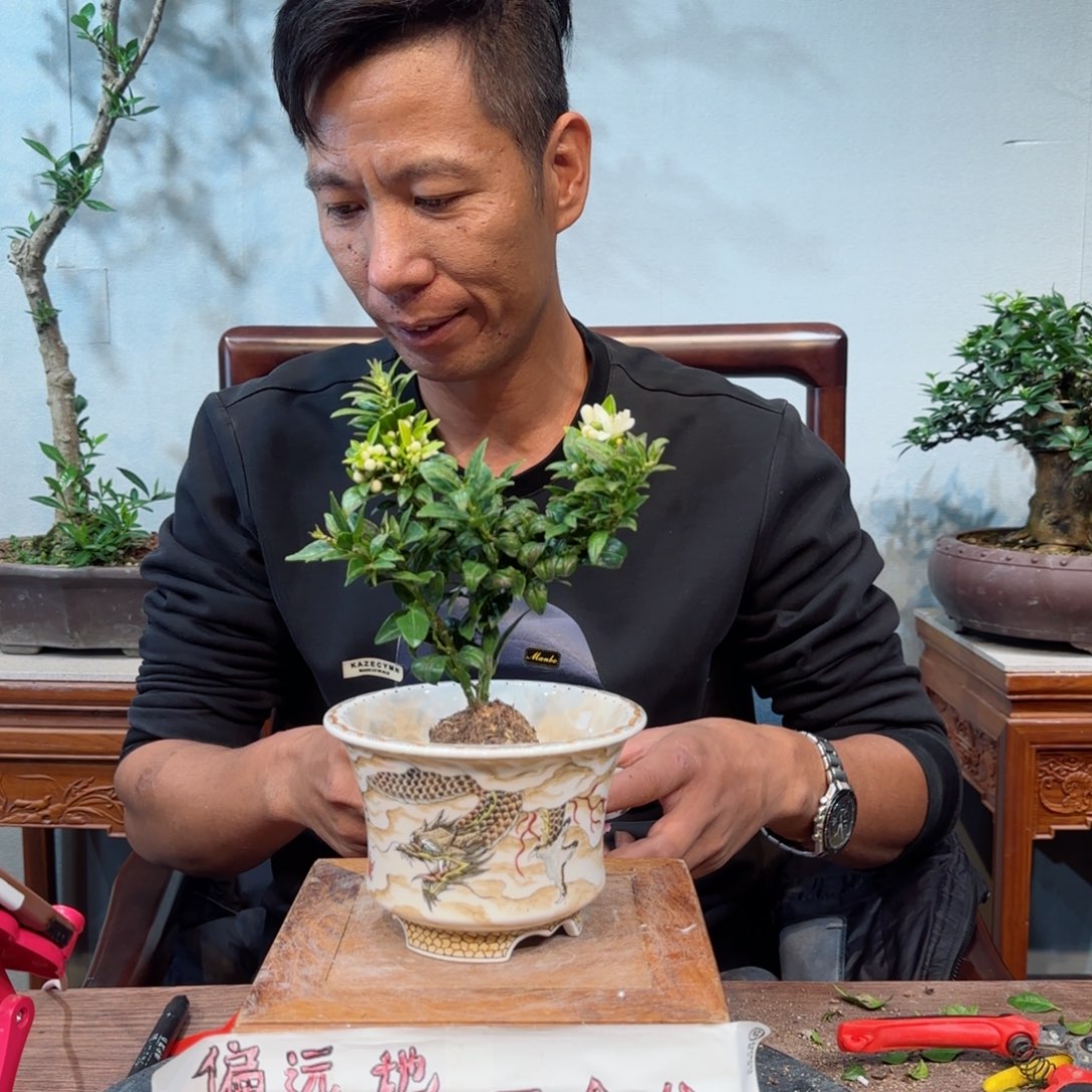 少量花朵（建议范围：2朵-5朵 或40%以下）卜*